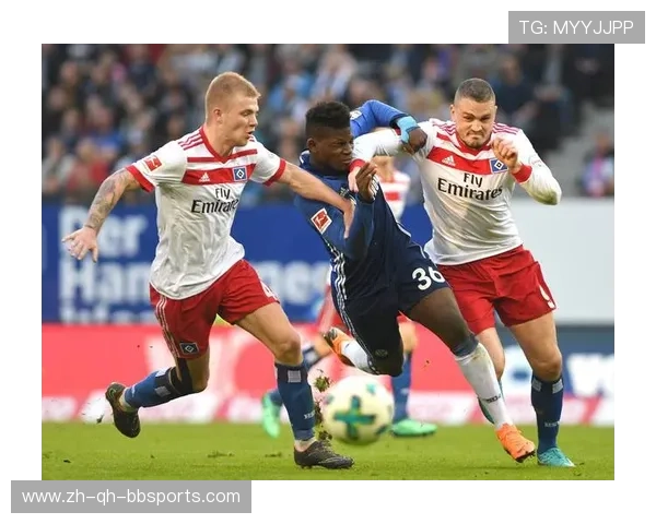 德甲最多球迷球队盘点